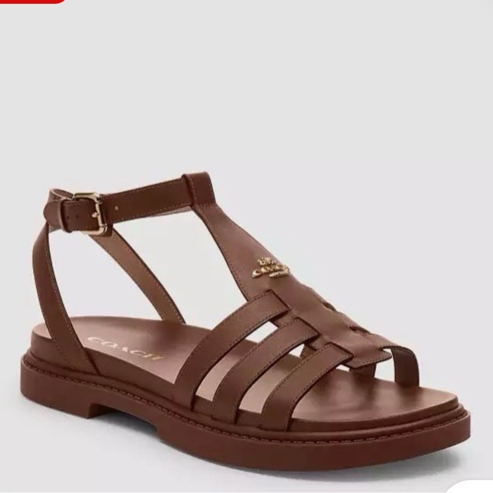 Coach Dark Brown Franny Sandal - Picture 1 of 8